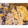 Eddins Washable Oriental Indoor Rug