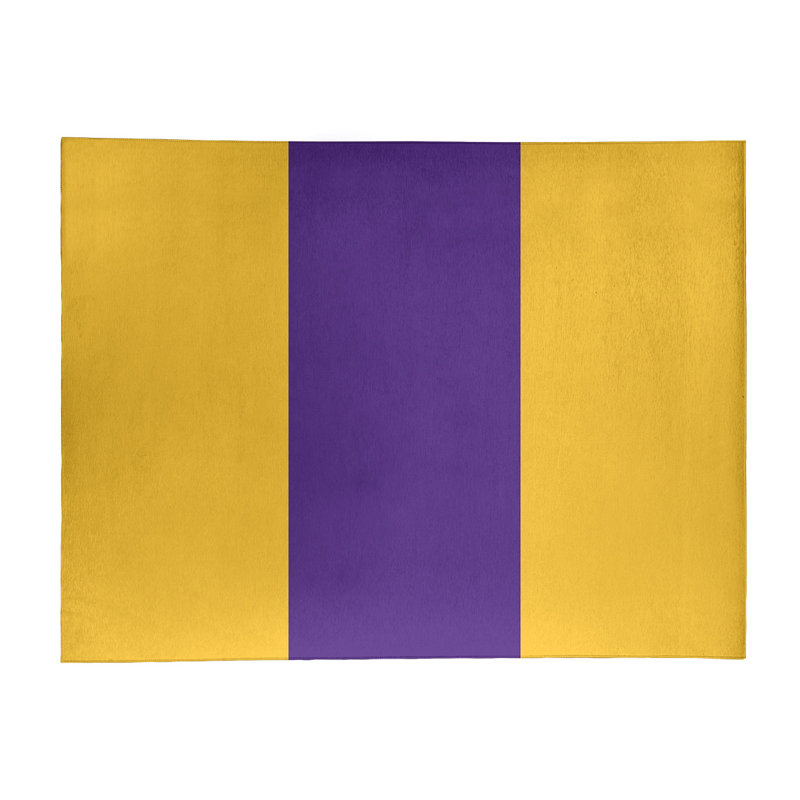 Tapis de zone en poly à rayures de football de minnesota, Rectangle 4 pi x 6 pi