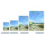 «Flowers & Seagrass» par Dana McMillan - reproduction d'art sur toile tendue-883318072