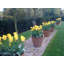 Handmade Pot Planter-14486388