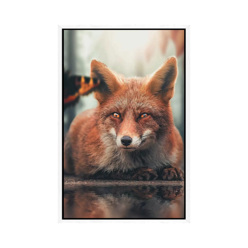 Fox Reflection Butterfly by Zenja Gammer - Print on Canvas, 66.04 cm H x 45.72 cm W, White Framed