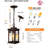 10'' Hardwired Outdoor Hanging Light-100015606