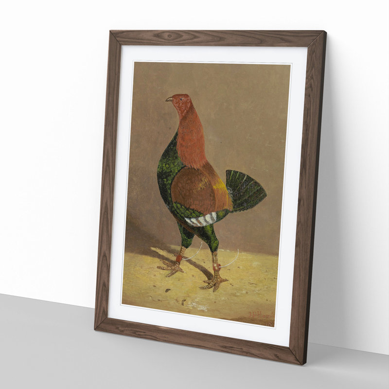 Fighting Cock Vol.1 by John Frederick Herring - Picture Frame Painting, Walnut Framed, 65cm H x 48cm W x 2cm D