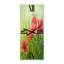 Horloge murale Blossoming Poppies III-1469201602