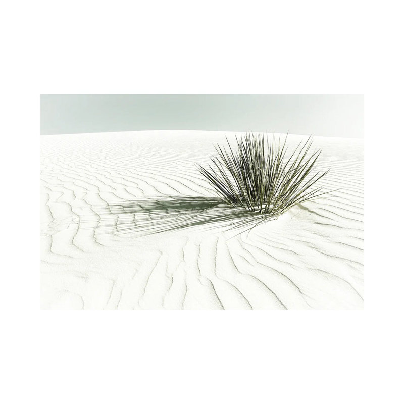 White Sands Dune | Vintage by Melanie Viola - Wrapped Canvas Print, 66.04 cm H x 45.72 cm W x 3.175 cm D