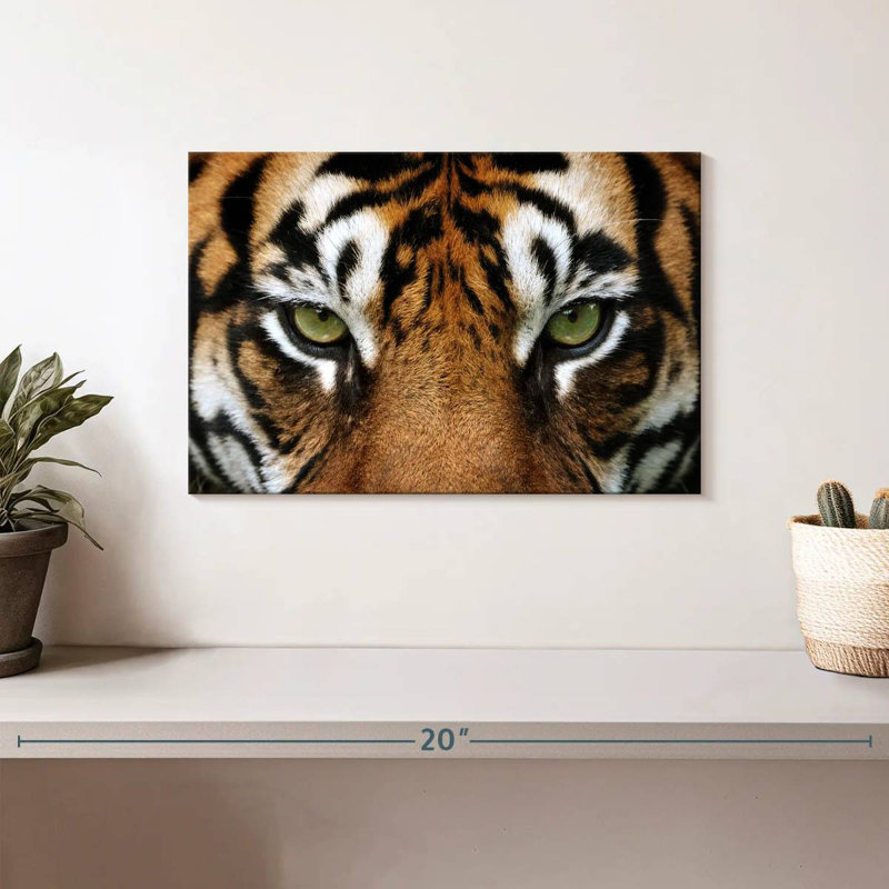 Regard d'un tigre, H 8 po x l 12 po