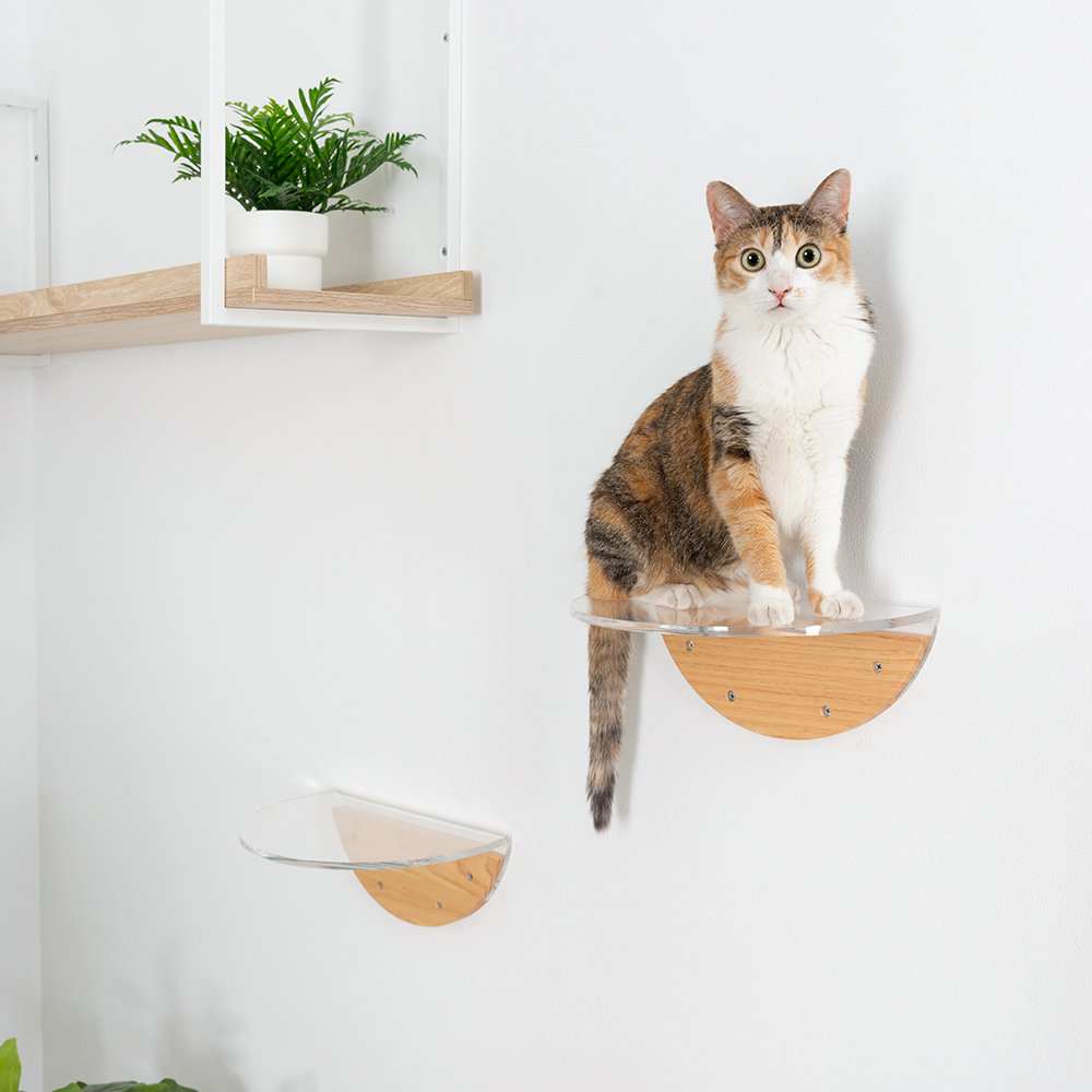 Tucker Murphy Pet™ Elishka Cat Perch | Wayfair