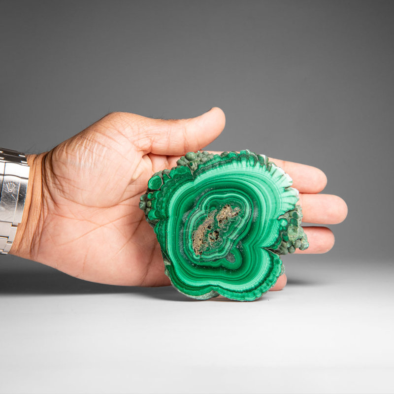 Genuine Polished Malachite Stalactite Slice (229 Grams)