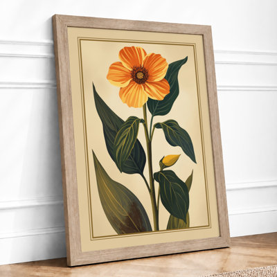 Golden Daisy Study Botanical - Framed Print