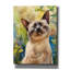 «Siamese Cat Contemplative Calm» par Doron David, art mural sur toile-744649219