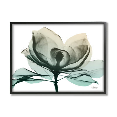 Photographie de la fleur de radiographie verte sur toile