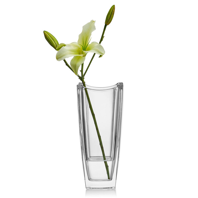 Baron 11.75 in. Crystal Vase