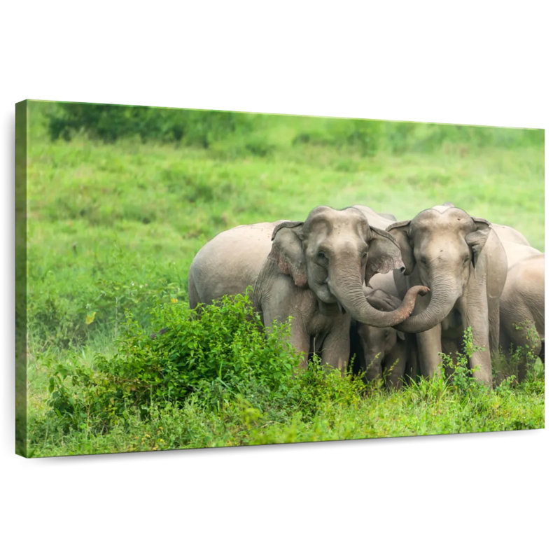 Brampt Asian Elephant Huddle, 26" H x 39" W