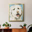 Toile encadrée de qualité supérieure Labradoodle II - prête à être accrochée-42089749-42089748