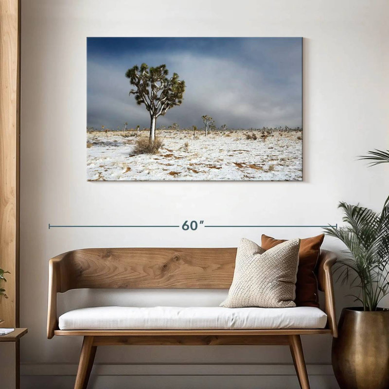 Harnek Snowy Mojave Desert, H 30 po x l 45 po