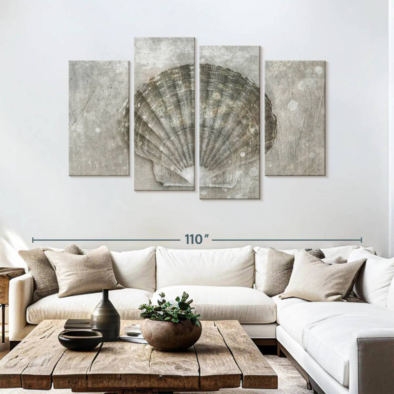 BW Scallop Seashell