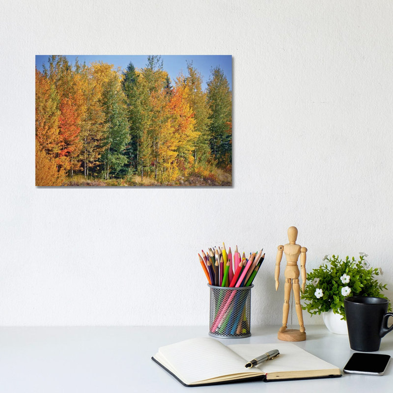 Autumn Layers of Trees II 1 Piece Wrapped Canvas Wall Art, 20.32 cm H x 30.48 cm W