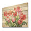 Tulipes minimalistes, rêve I - Tulipes, panneau mural en bois sur bois de pin naturel-101408878