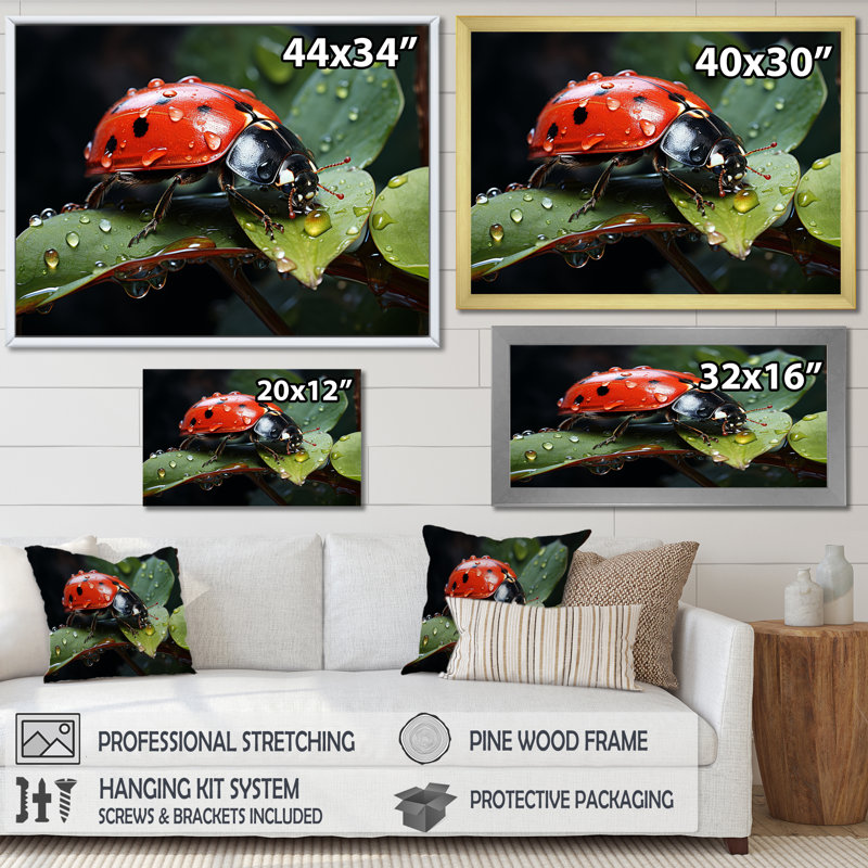 Curious Ladybug Crimson Serenity II, Cadre flottant noir, H 16 po x l 32 po x P 1 po