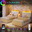 Lit plateforme simple tapissier simple TG avec tête de lit ondulée - Bibliothèque de rangement - 2 tiroirs - Aucun sommier nécessaire - Solution pour chambre à coucher blanche-1133066461-1133066463