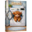 Illustration de machine à laver mignonne Highland Cow-126030799-126030805