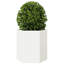 Arzate Planter Box-2059468694