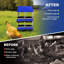 4 Hole Galvanized Steel Egg Laying Boxes, 2 Layer