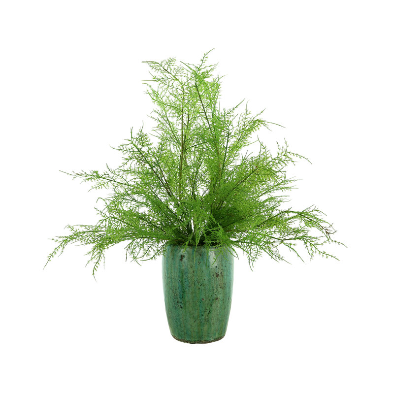 Fausse fougère 22 po Mendell dans un vase en céramique