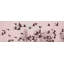 Cranes Across The Sky by Don Schwartz - Wrapped Canvas Panoramic Print-1093896750