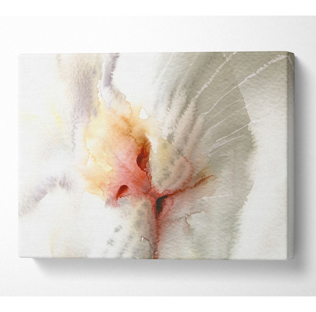 Katzennase - Kunstdrucke auf Leinwand - Wrapped Canvas