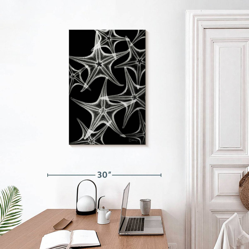 Brampt White Starfish, 30" H x 20" W