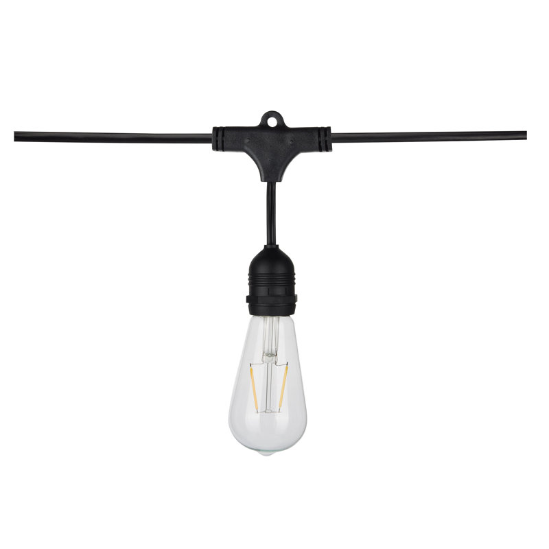24Ft - LED String Light - 12 Vintage ST19 Bulbs Included - 120 Volts