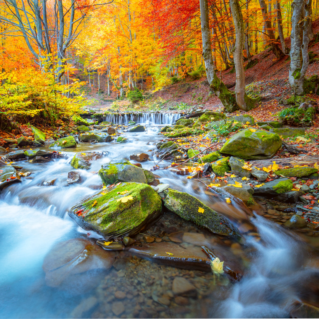 Leung Fall Autumn Landscape by A Taiga - Wrapped Canvas Photograph