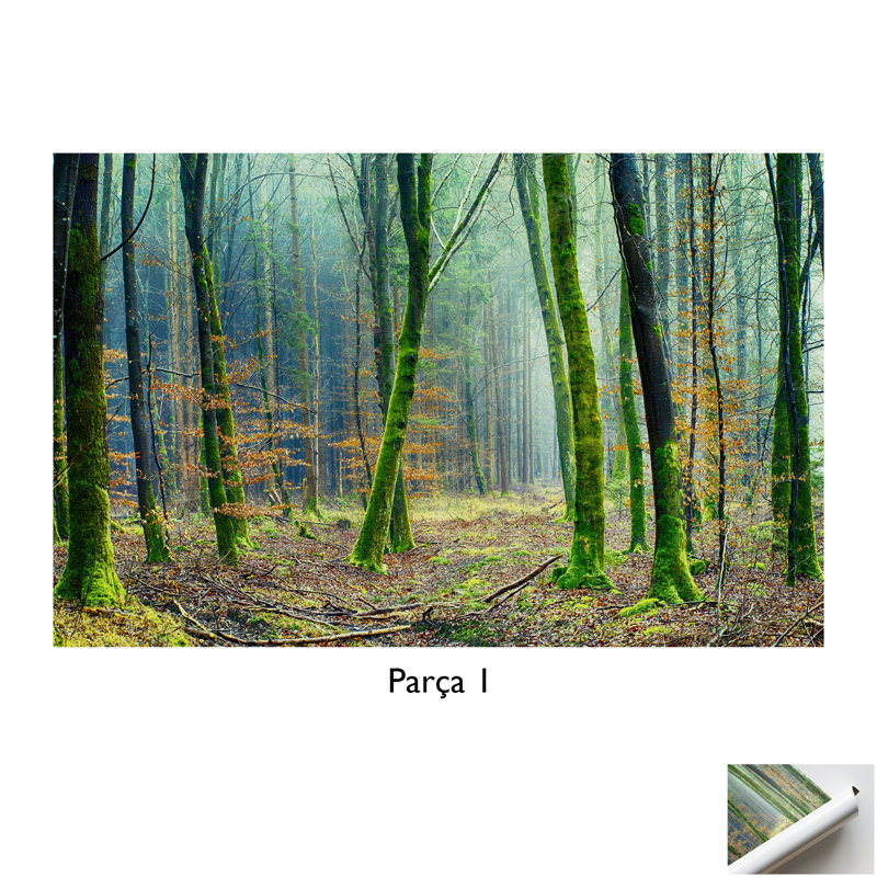 Print on Canvas, White Floater Framed, 25 cm H x 35 cm W