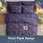 Bed-in-a-Bag Pinch Pleat Comforter Set with Bed Sheets & Down Alternative Pillows-115707321-115707319