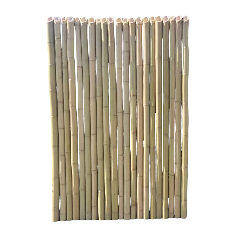 Clôture en bambou Spear Top, Tan, 6' H x 4' W
