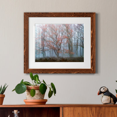 " Misty Contrasts "
