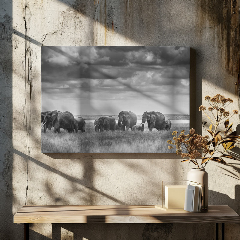 Wrapped Canvas Print, 50.8 cm H x 76.2 cm W