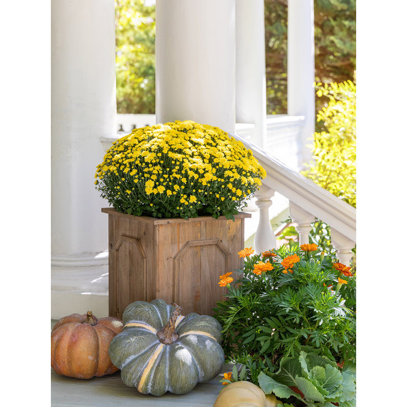 Manor Wood/Metal Planter Set