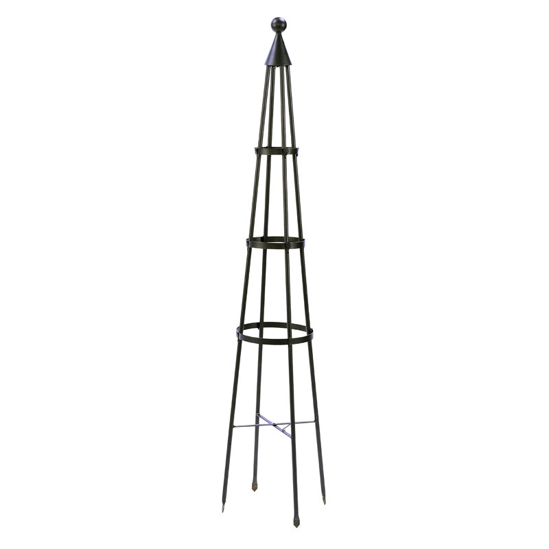 Mckayla 61'' H x 13'' W Iron Obelisk Trellis