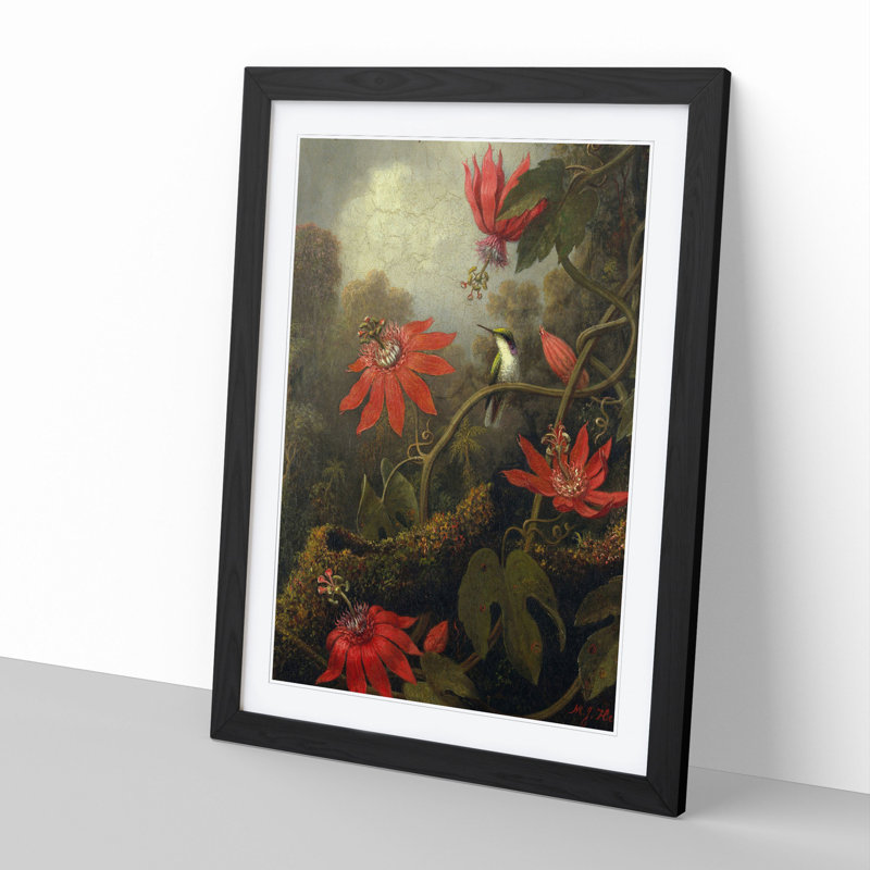 Hummingbird and Flowers by Martin Johnson Heade - Picture Frame Painting, Black Framed, 65cm H x 48cm W x 2cm D