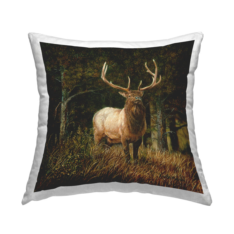  Polyester Throw Pillow