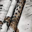 Tapisserie murale Wildlife Serval-133636883