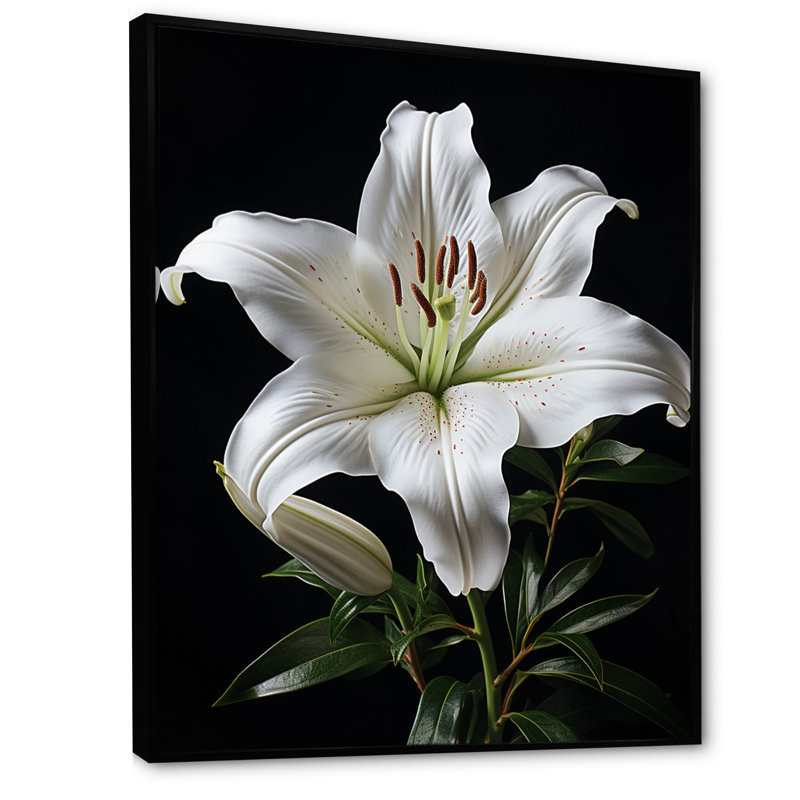Impression sur toile encadrée, "Black Lily", H 32 po x l 24 po x P 1 po, Cadre flottant noir