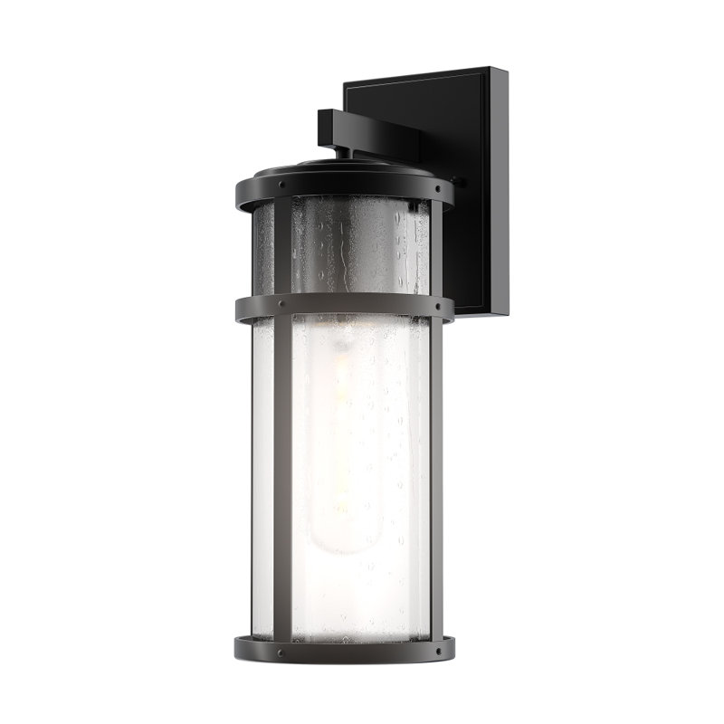 McClendon Plug & Play 1-Light Outdoor Wall Light in Transitional and Modern Style-16.5 Inches Tall and 6 Inches Wide