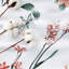 Ensemble de housse de couette réversible 100% coton-106256194-100776156