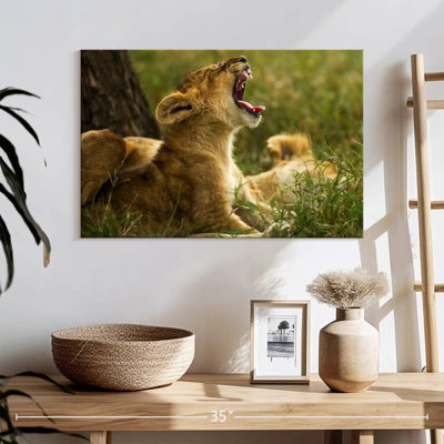 Crowle Sleepy Lion Cub