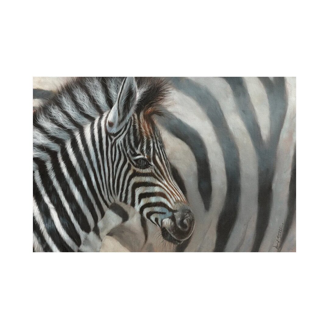 Zebrafohlen von David Stribbling - Galerie-verpackte Leinwand Giclée auf Leinwand