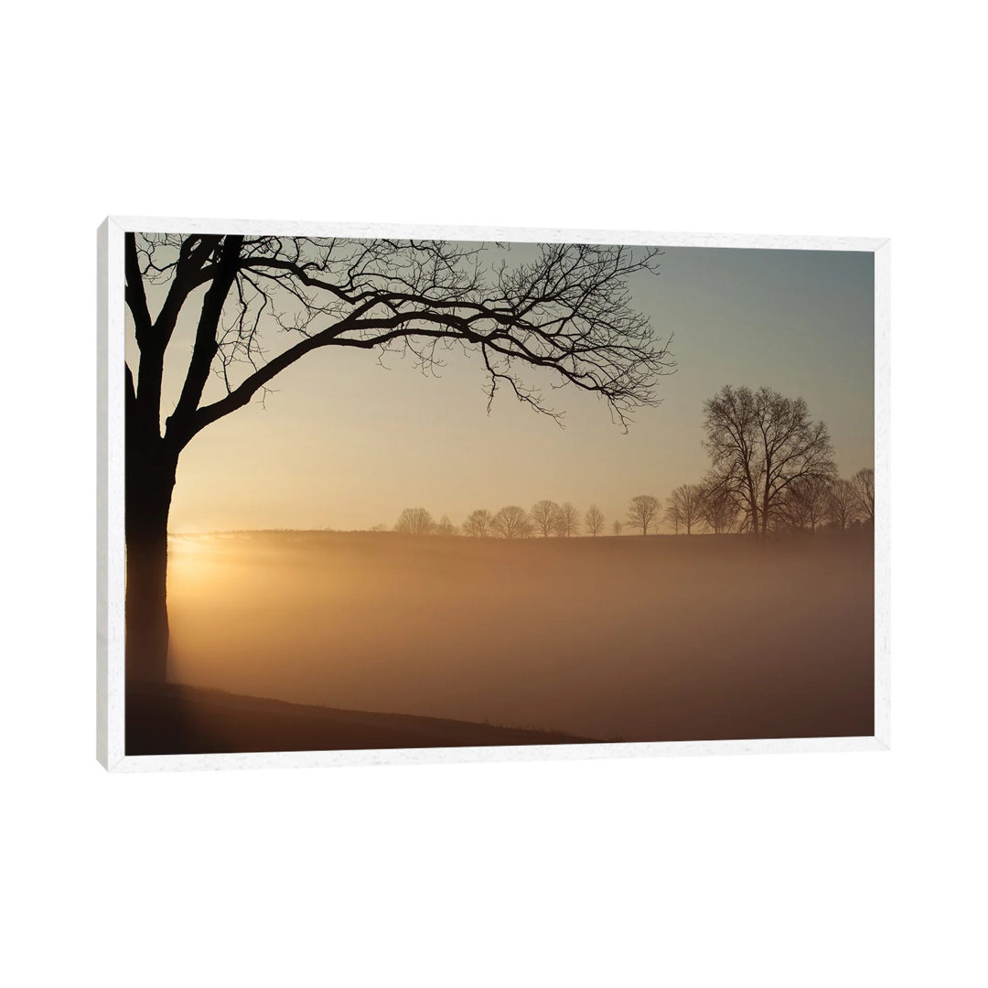 Sonnenaufgang im Valley Forge National Park von Austin - Galerie-verpackte Leinwand Giclée auf Leinwand