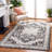 Alberte Performance Oriental Rug-94112967